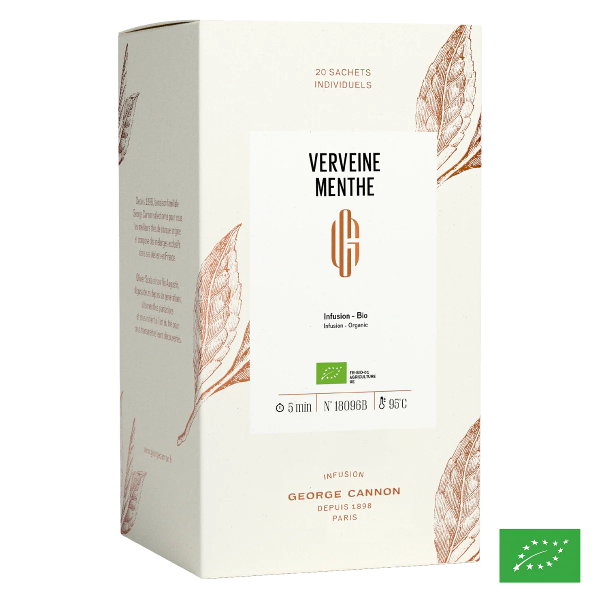 Verveine menthe